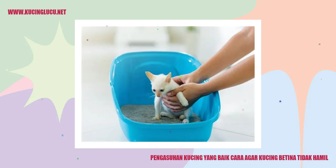 Kucing Betina