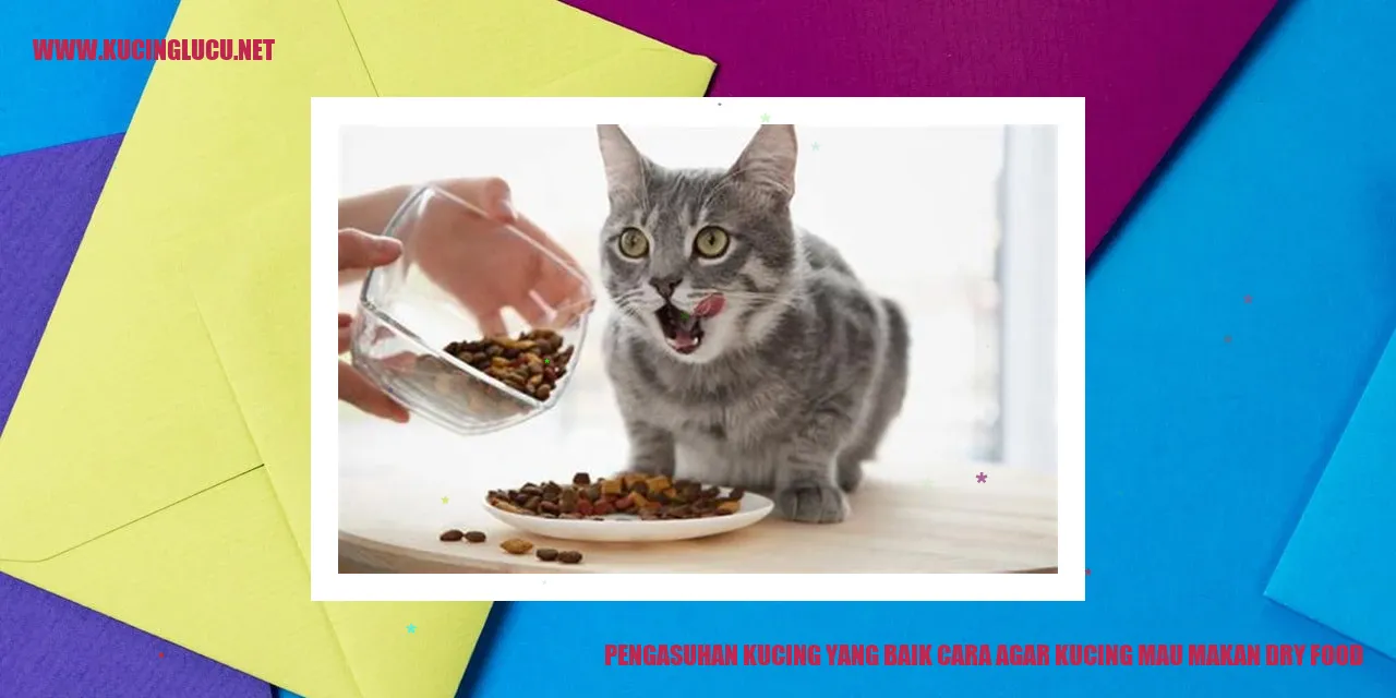 Kucing makan dry food