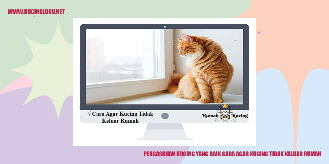 Kucing yang tidak keluar rumah