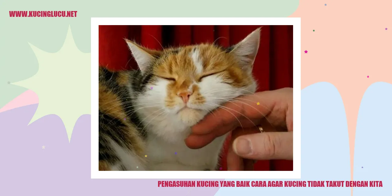 Pengasuhan Kucing yang Baik