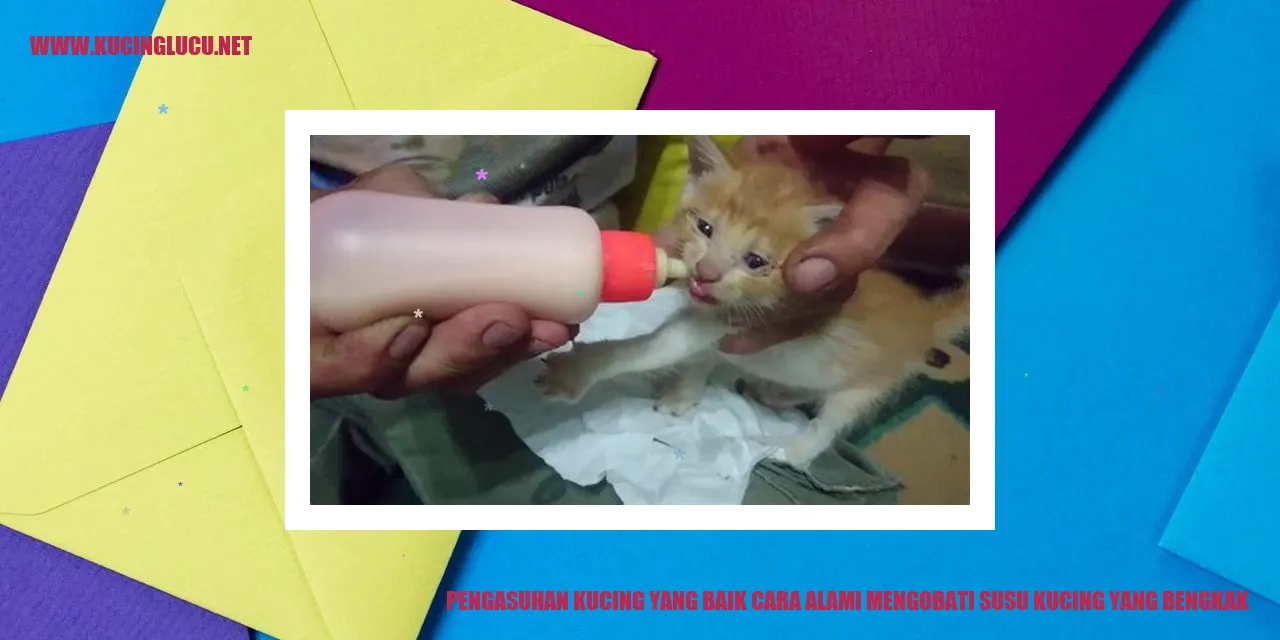 Kucing yang sehat dan bahagia