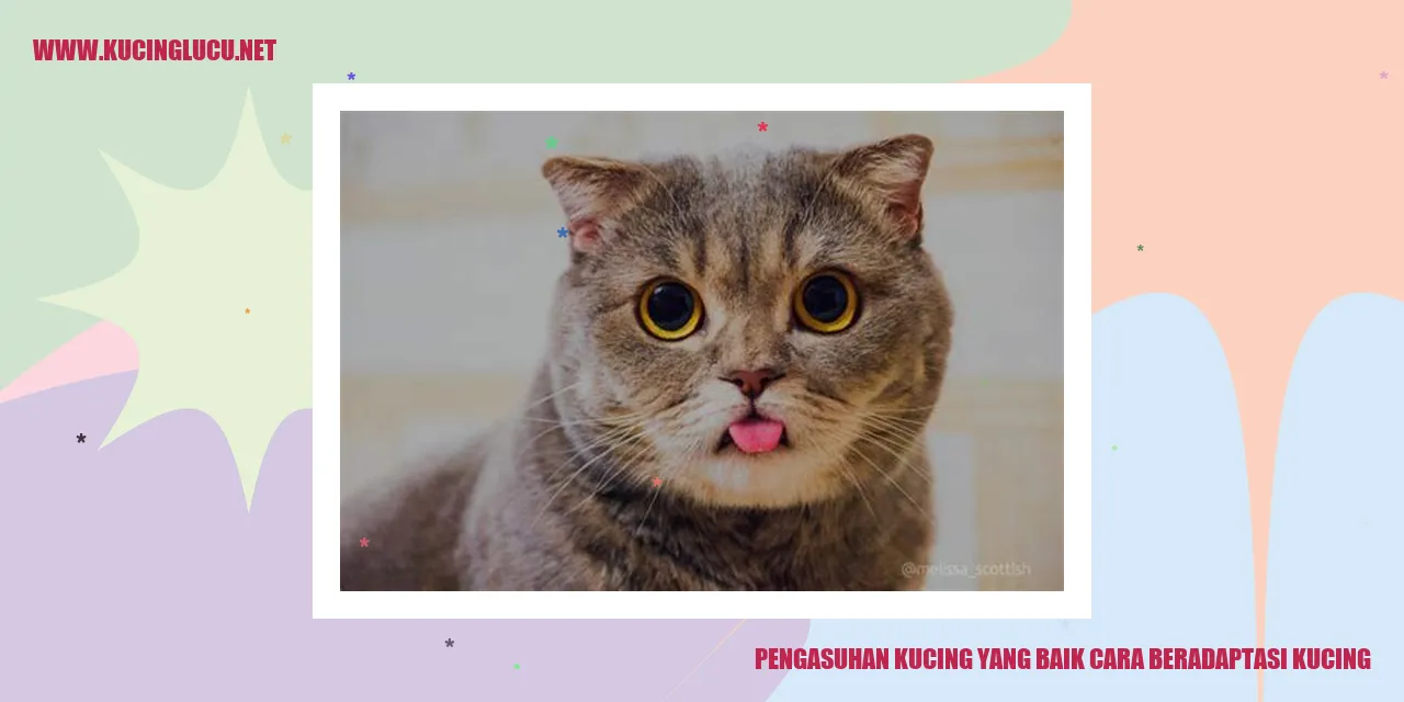 Kucing menggemaskan
