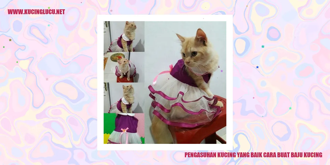 Kucing dengan pakaian