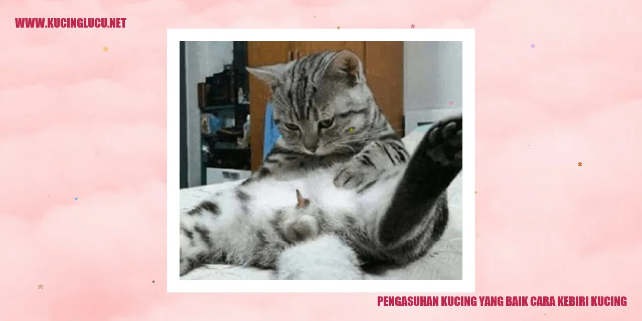 Pengasuhan Kucing yang Baik: Cara Kebiri Kucing