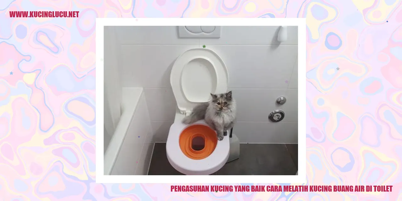 Kucing di Toilet