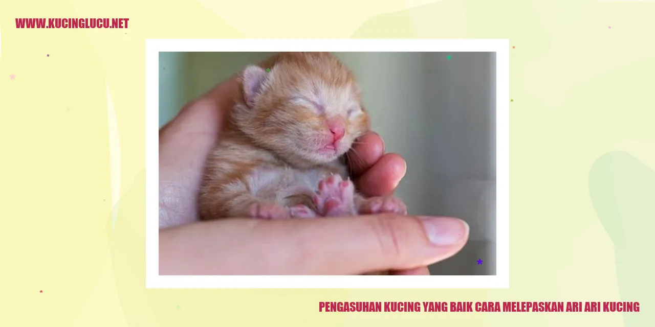Kucing bersih dan sehat
