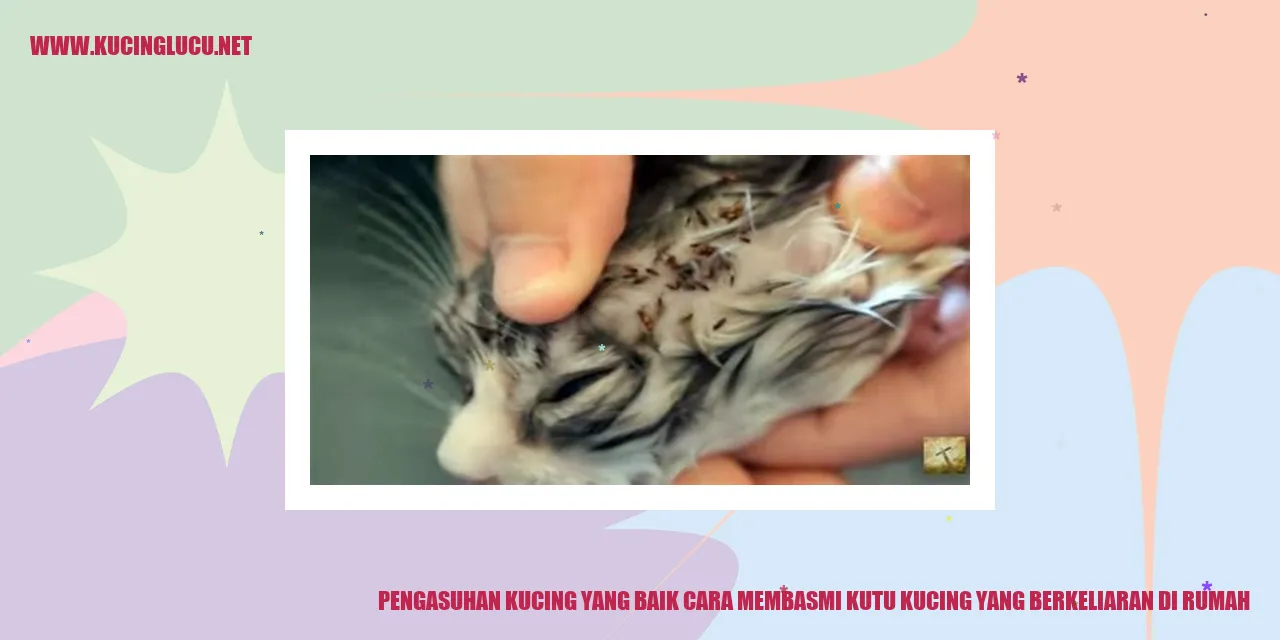 Gambar kucing