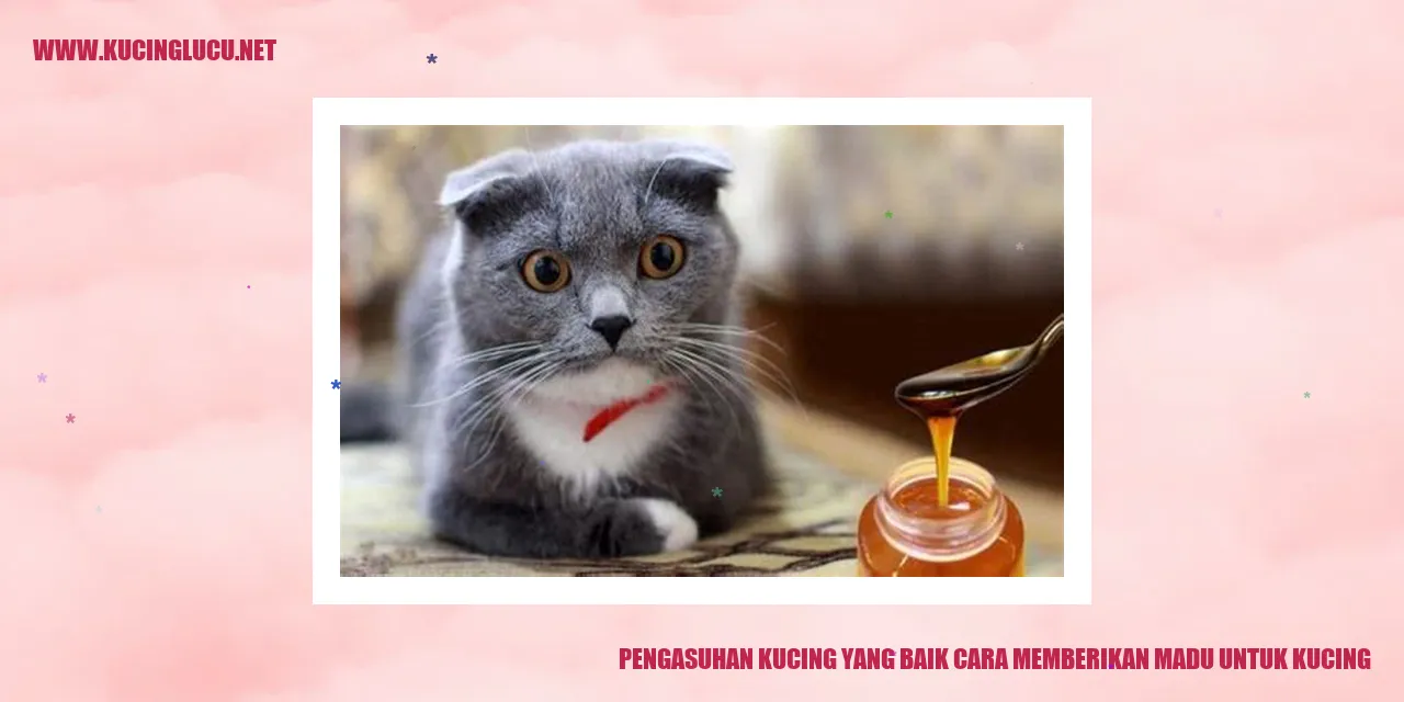 Seekor kucing sedang menikmati madu