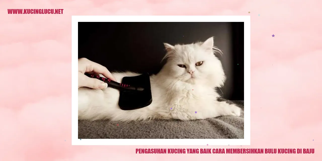 Kucing Menggantung di Baju