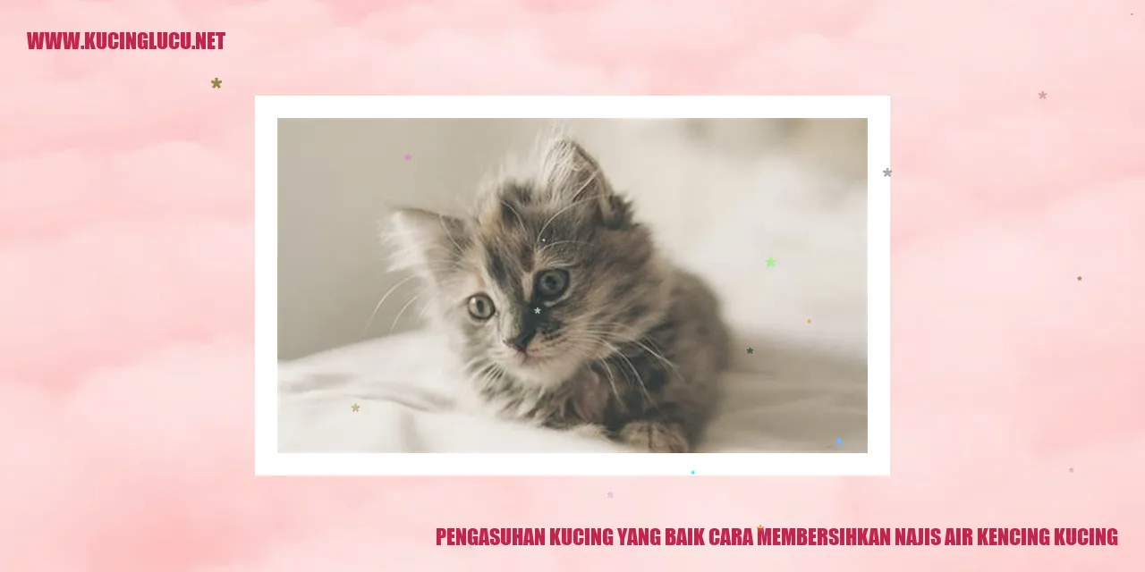 Gambar Kucing yang Bersih