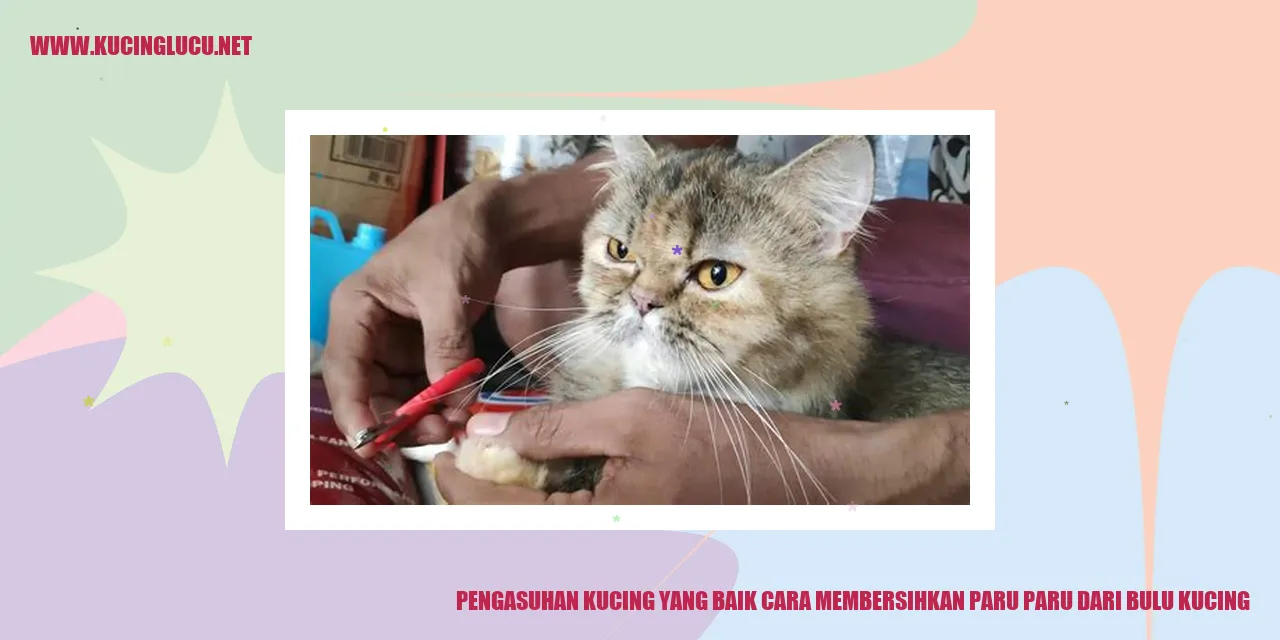 Paru-Paru Kucing