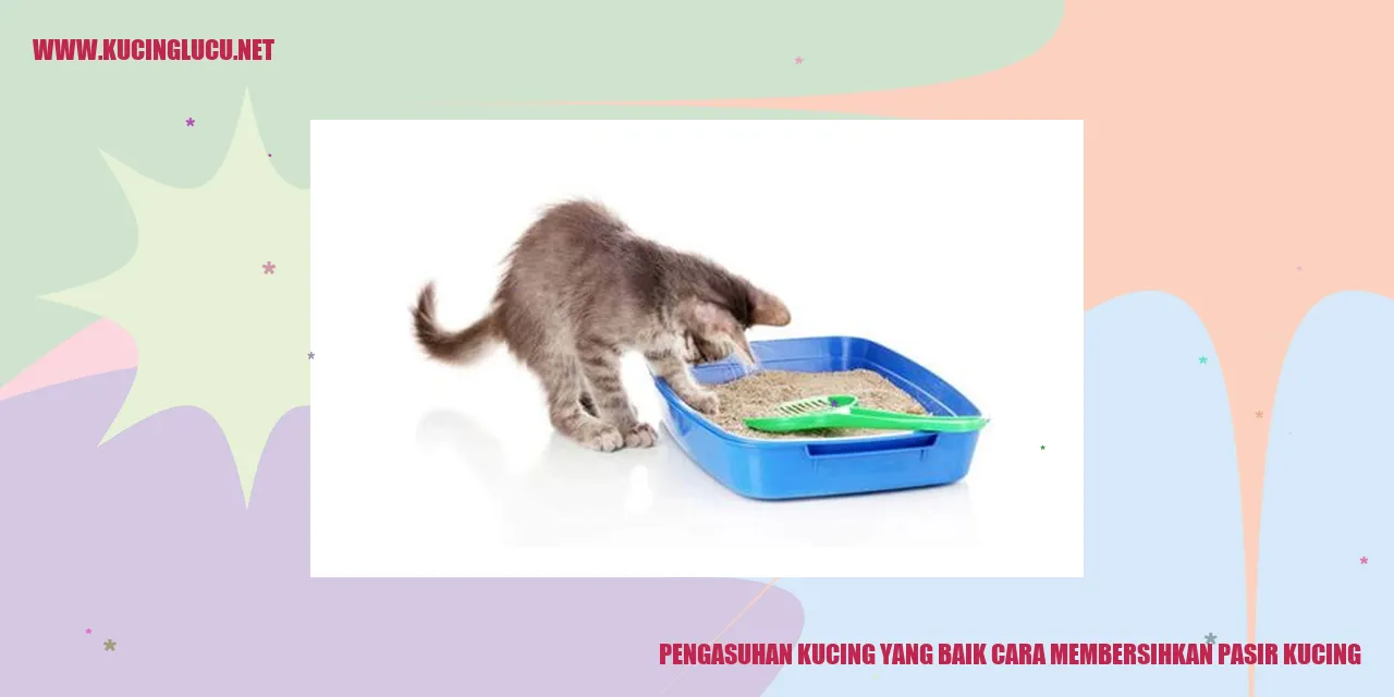 Gambar Pasir Kucing