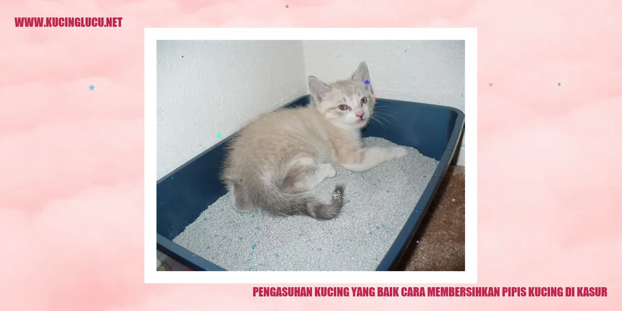 Kucing Menggemaskan