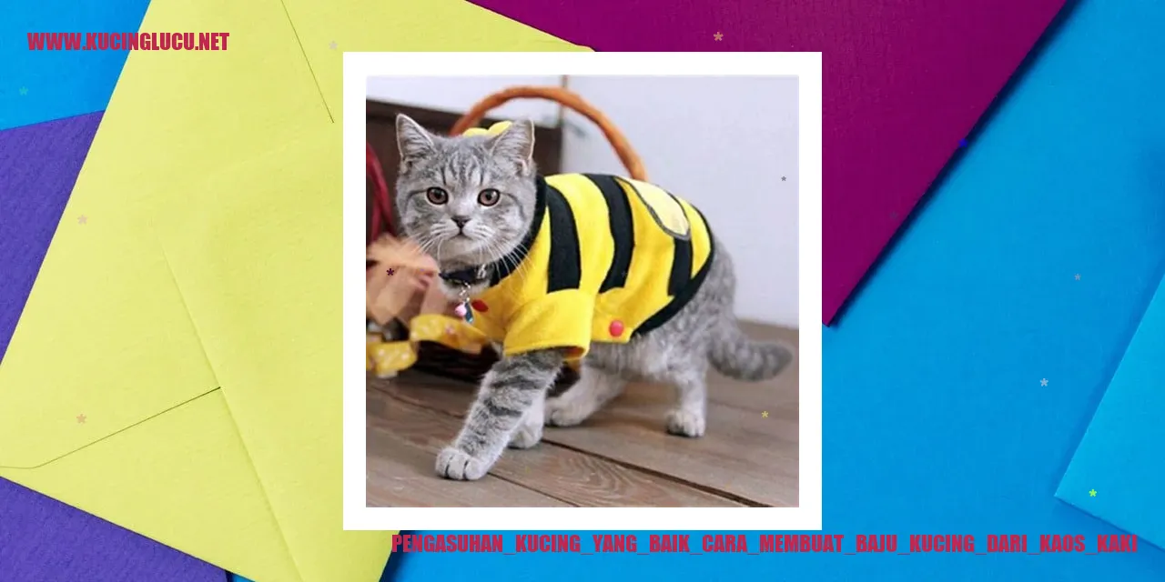 Kucing Baik Membuat Baju Kucing dari Kaos Kaki