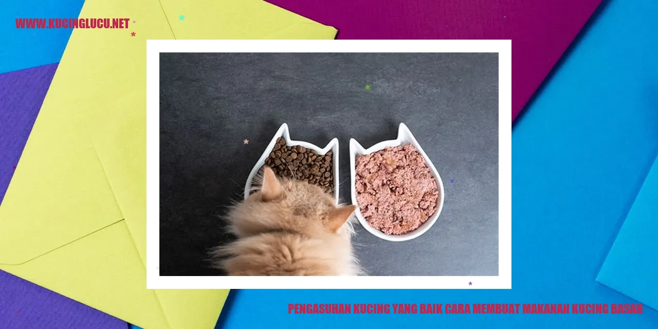 gambar kucing basah