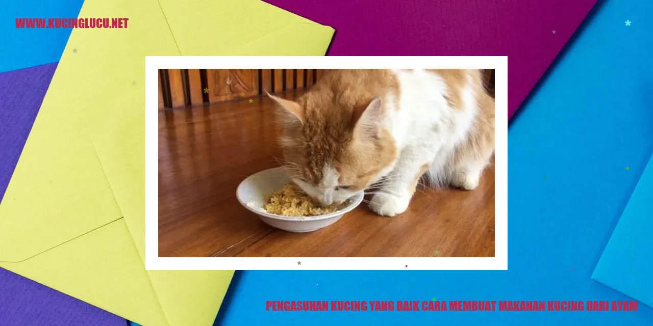Kucing makan ayam