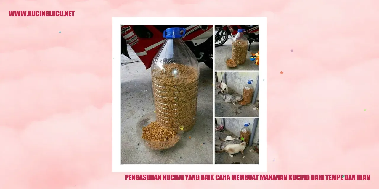 Kucing makanan
