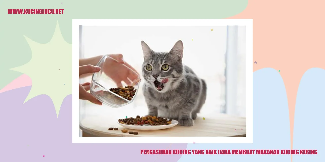 kucing makanan kering