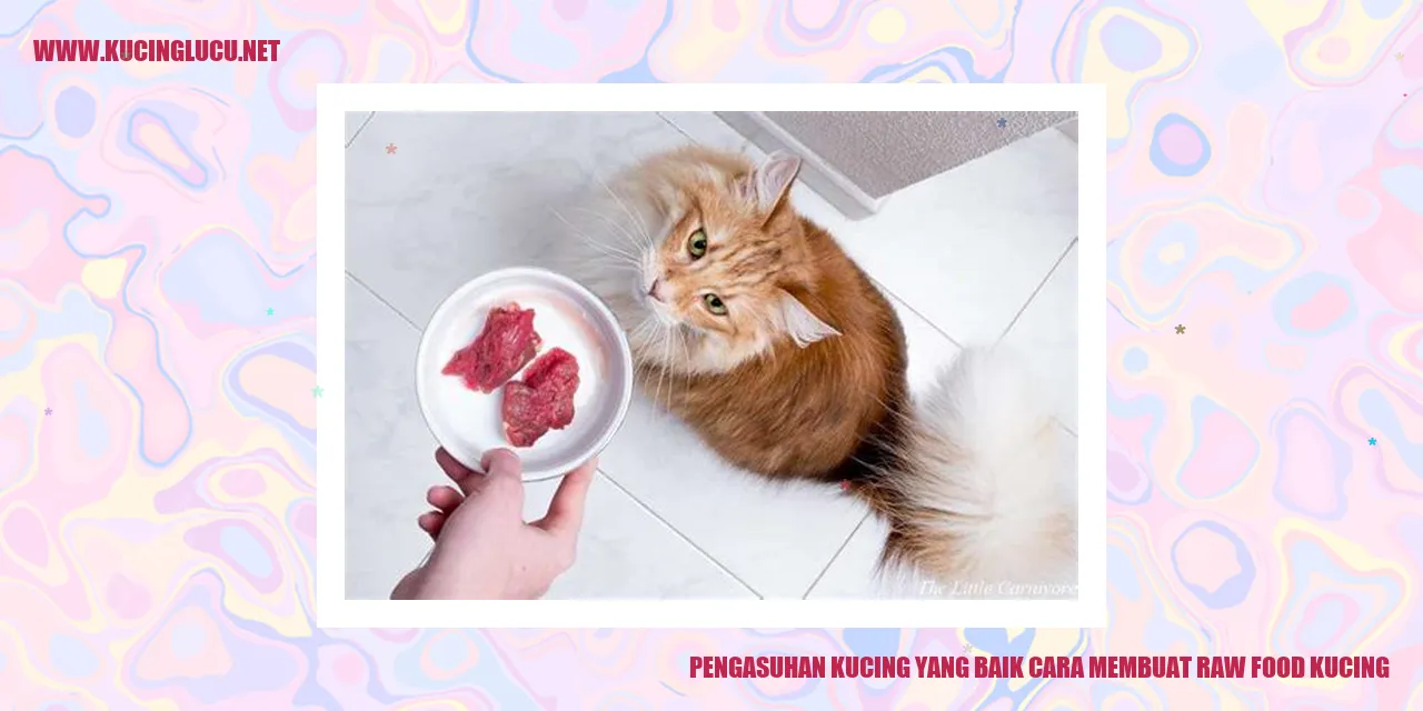 Pengasuhan Kucing yang Baik cara membuat raw food kucing