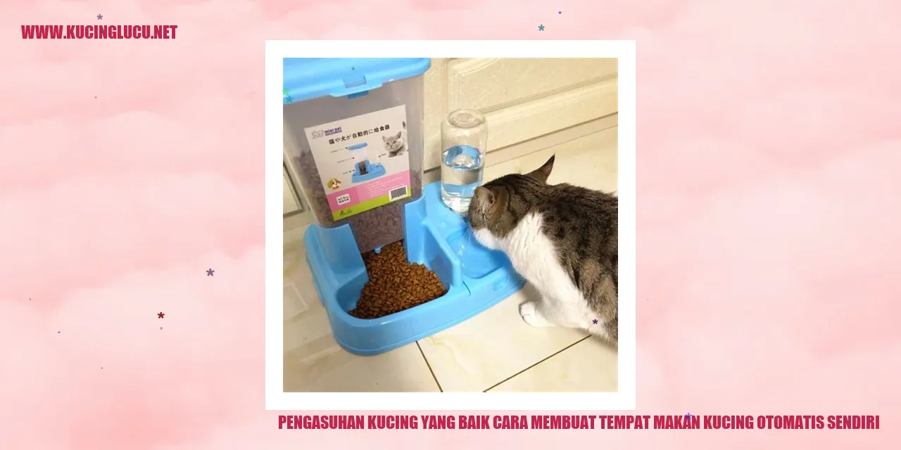 Kucing makan