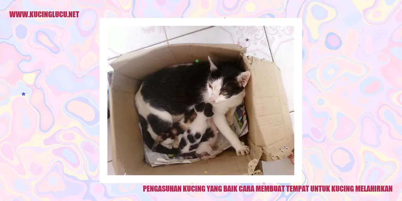 Gambar Kucing yang Melahirkan