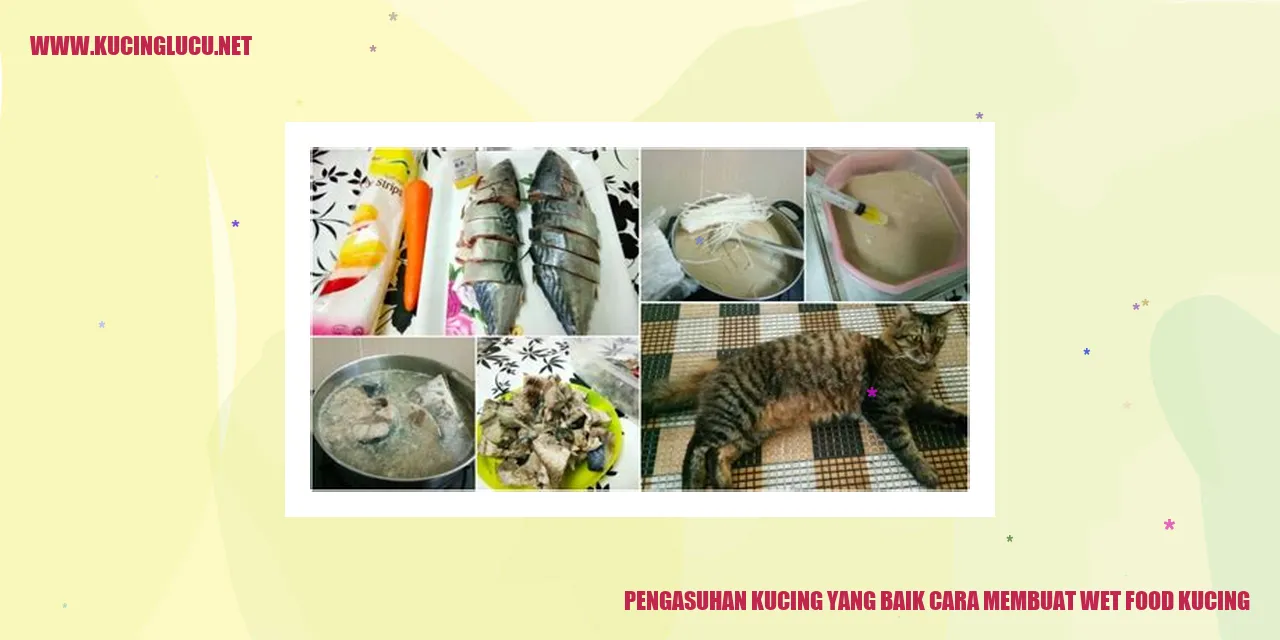 Gambar Kucing