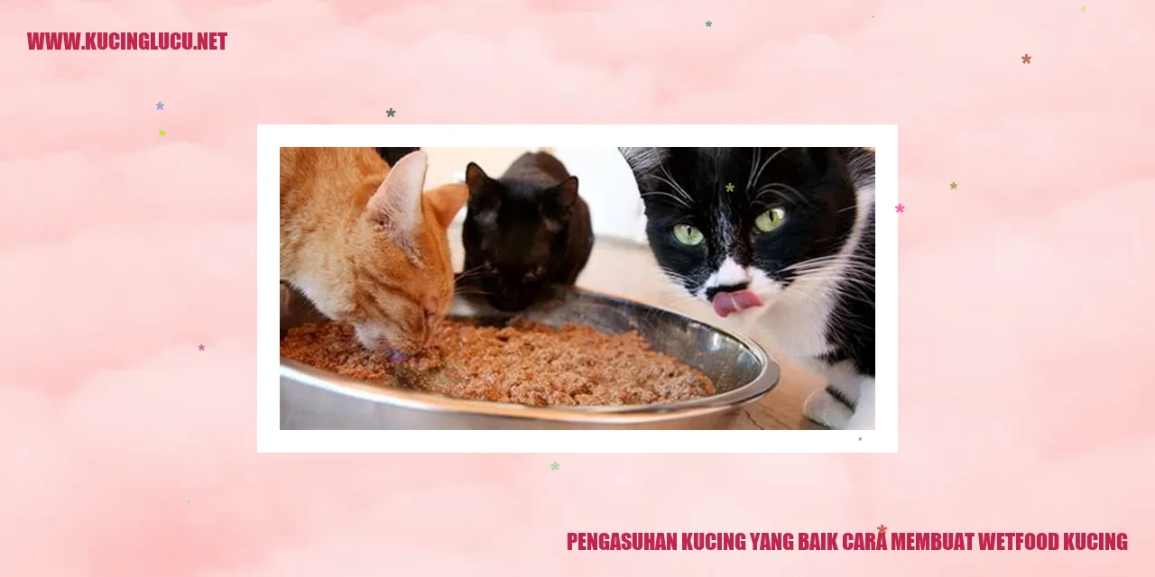 Gambar seekor kucing sedang menikmati makanan basah