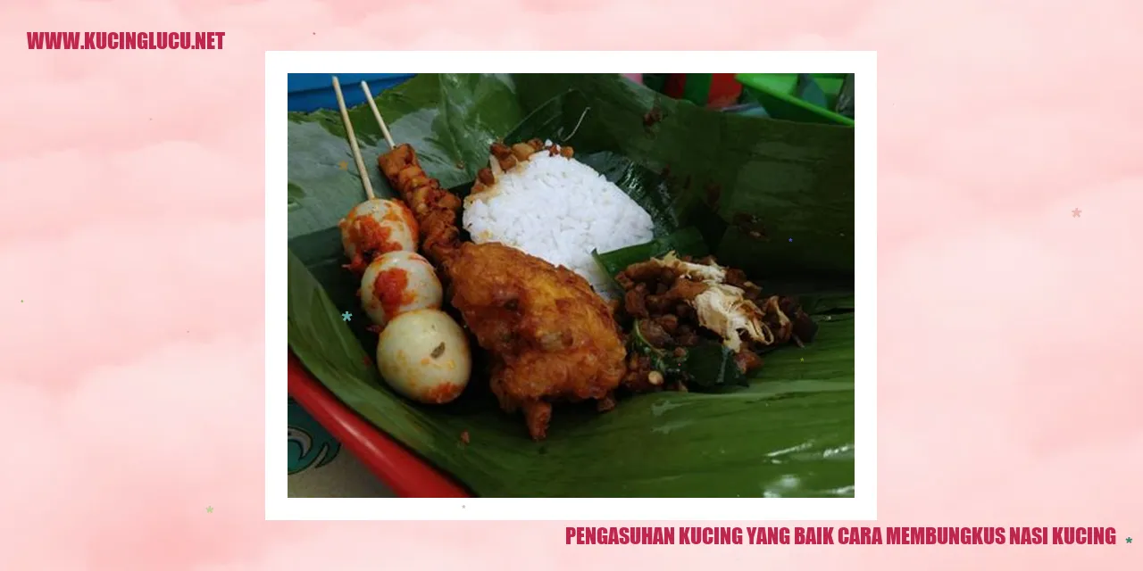 pengasuhan kucing yang baik