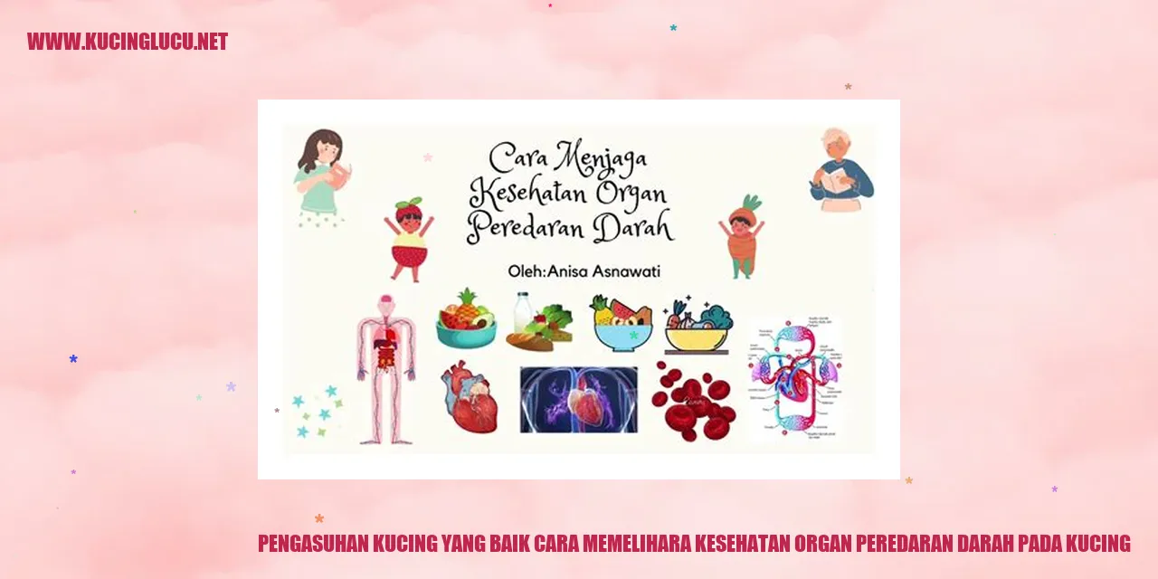 Pengasuhan Kucing yang Baik cara memelihara kesehatan organ peredaran darah pada kucing