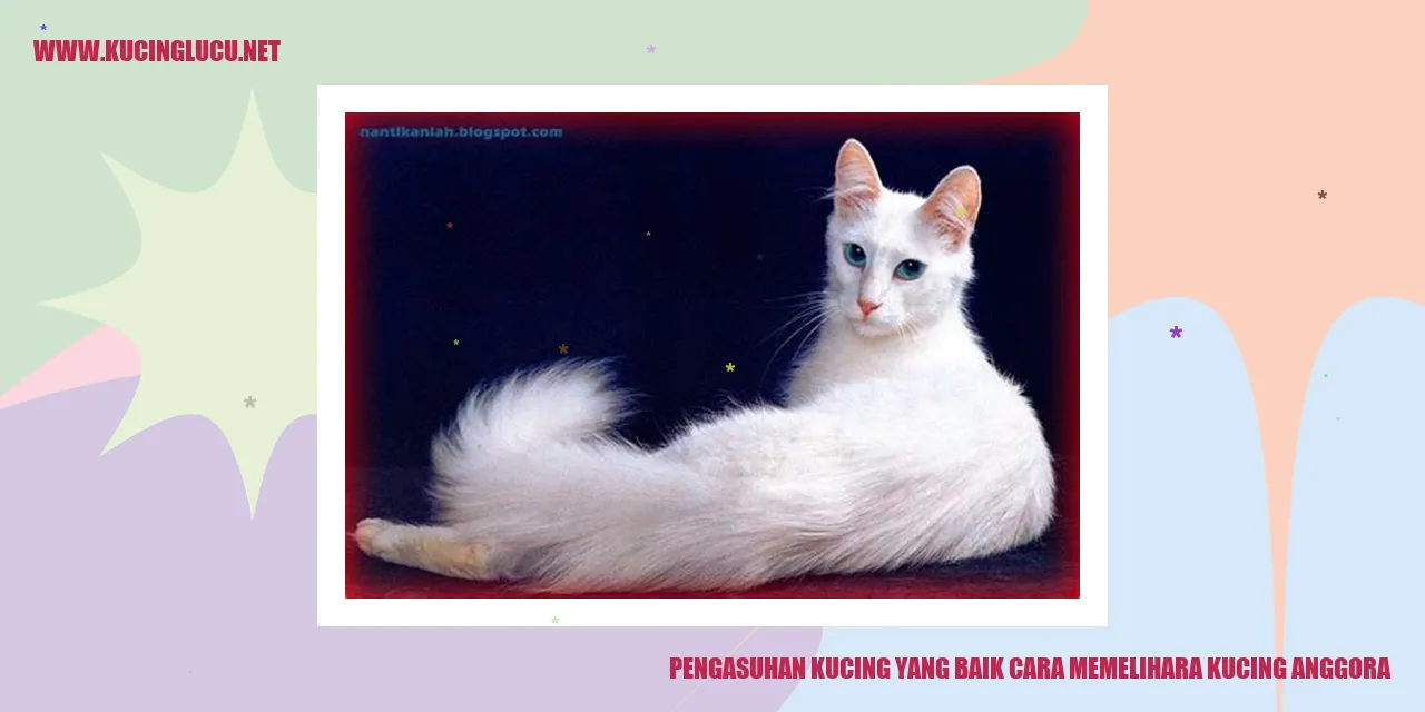 Pengasuhan Kucing yang Baik: Tips dalam Memelihara Kucing Anggora