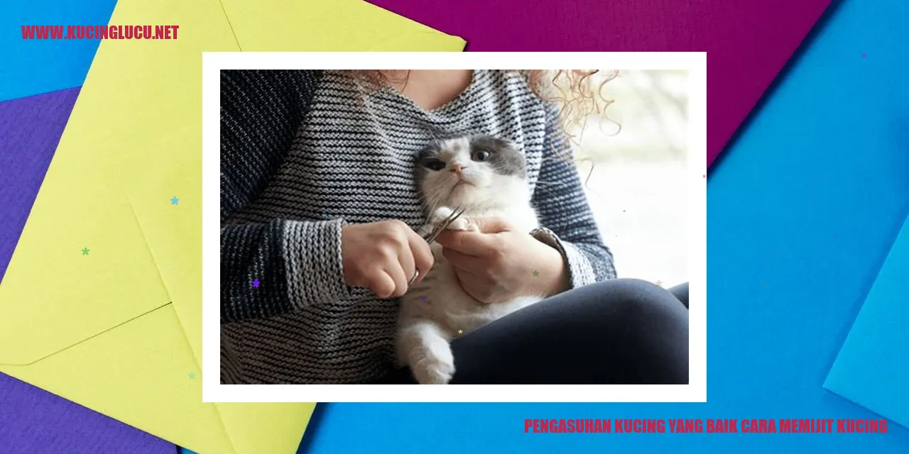 Gambar Kucing yang Sedang Dipijat