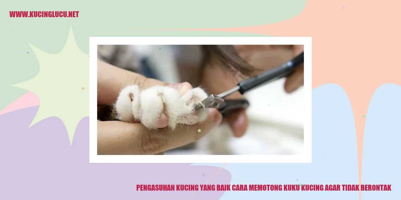 Kucing yang Tidak Berontak saat Memotong Kuku