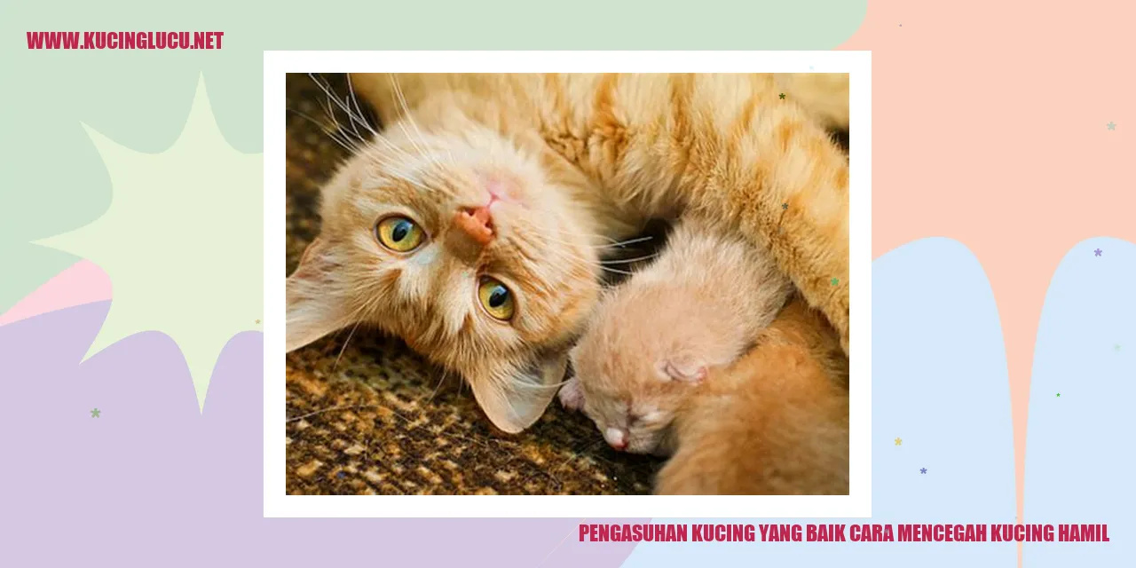 Pengasuhan Kucing yang Baik