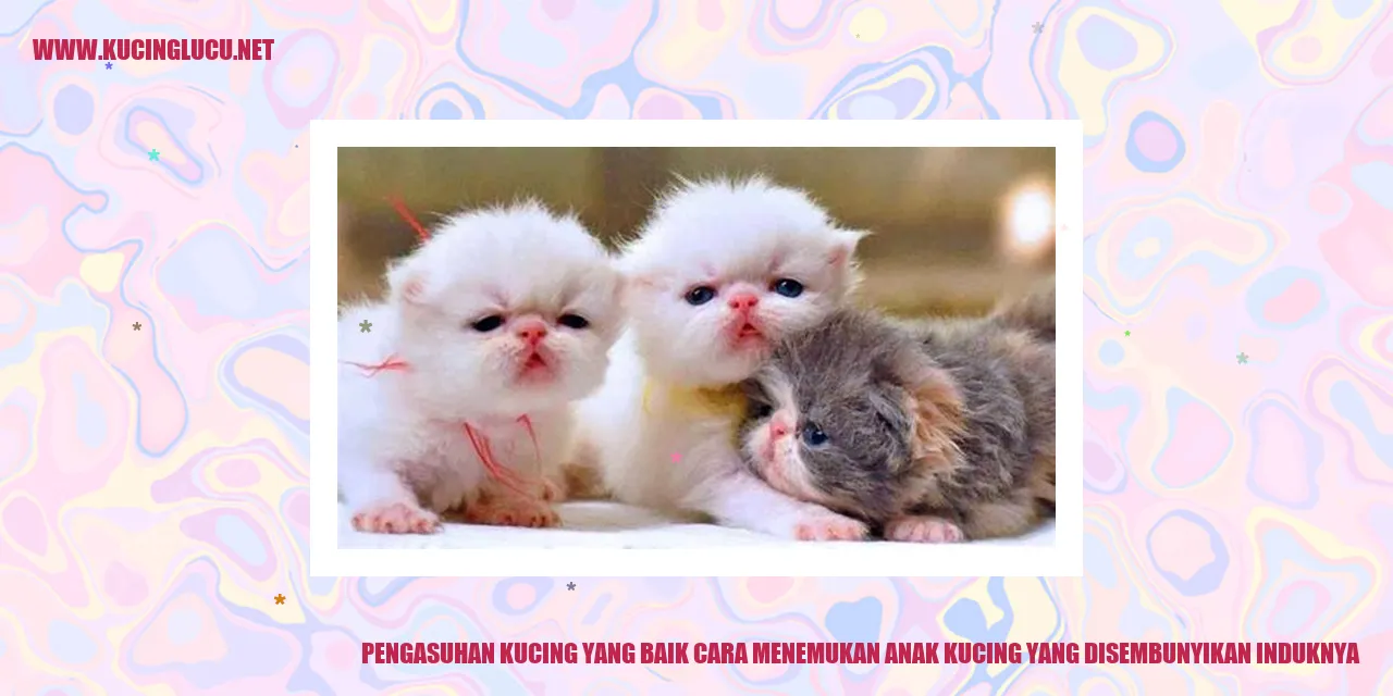 Anak Kucing yang Disembunyikan oleh Induknya