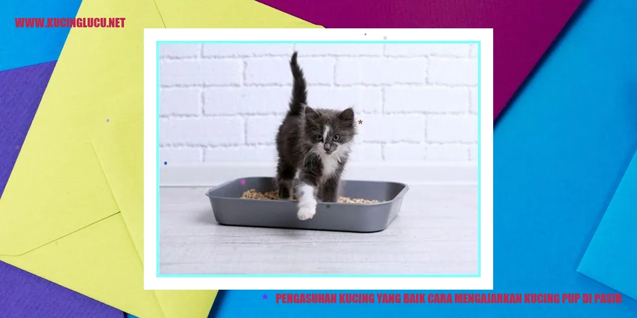 Gambar Kucing Buang Air di Pasir