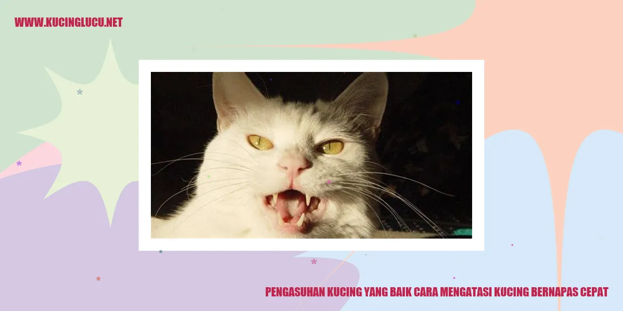 Pengasuhan Kucing yang Baik cara mengatasi kucing bernapas cepat