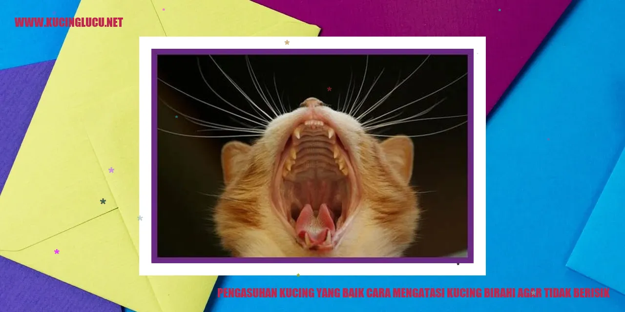 Si Kucing yang Menggemaskan