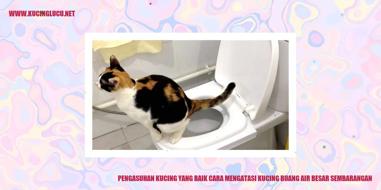 Kucing Buang Air Besar Sembarangan