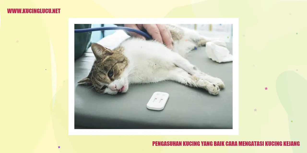 Gambar Kucing yang Sedang Terganggu