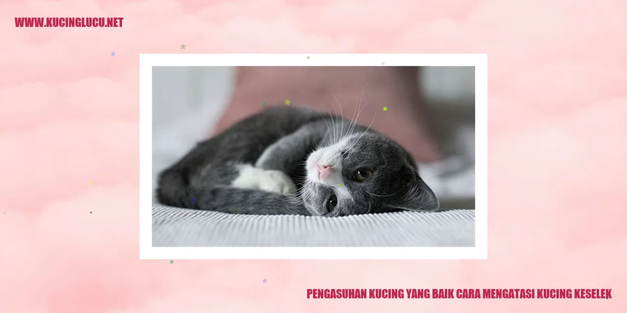 Kucing Keselek