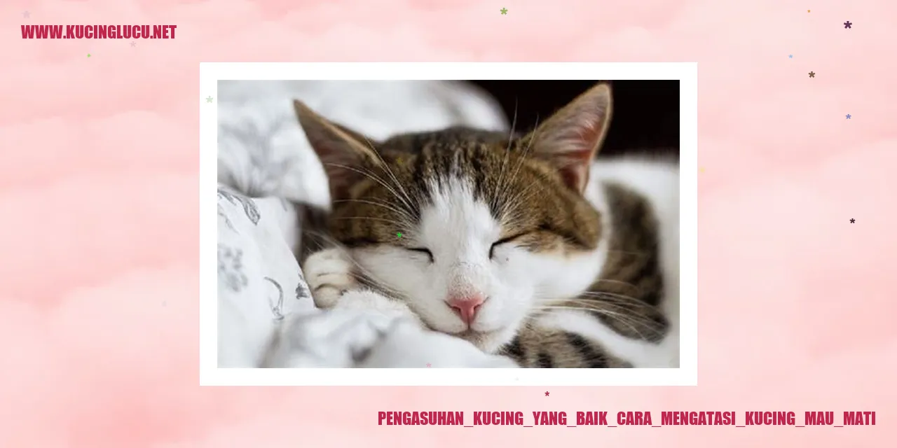 Kucing yang Sehat dan Bahagia