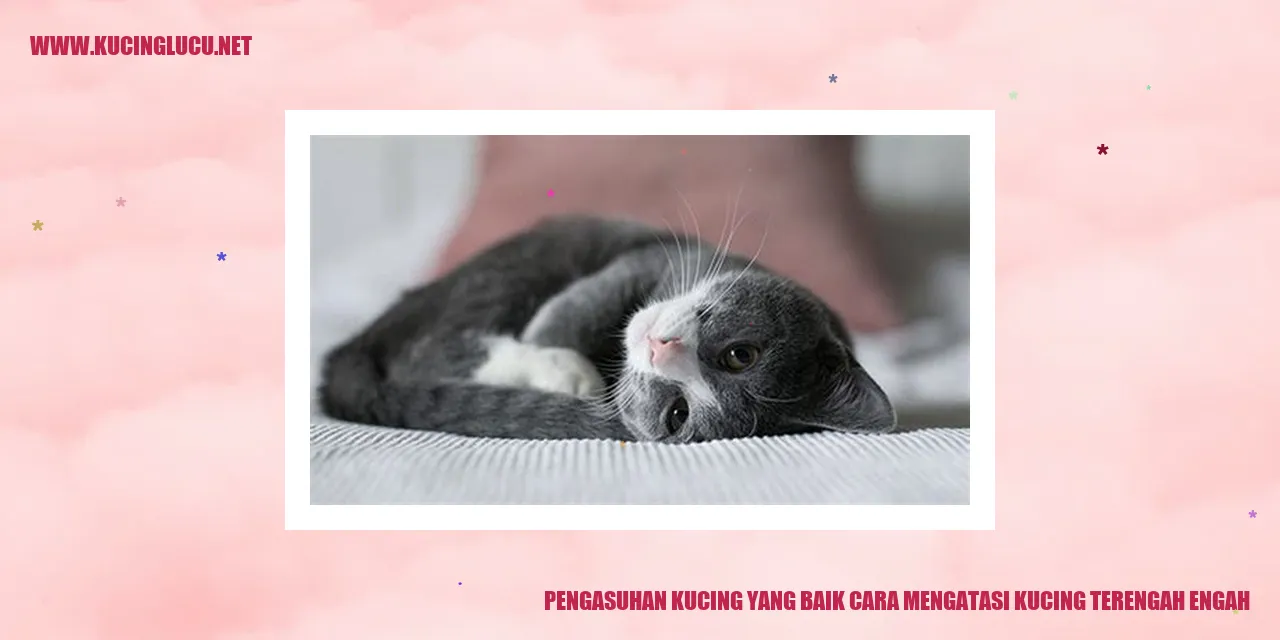 Kucing yang Sulit Bernapas
