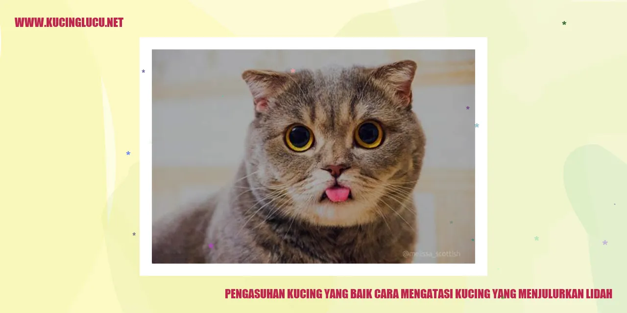 Gambar Kucing Mengjulurkan Lidah