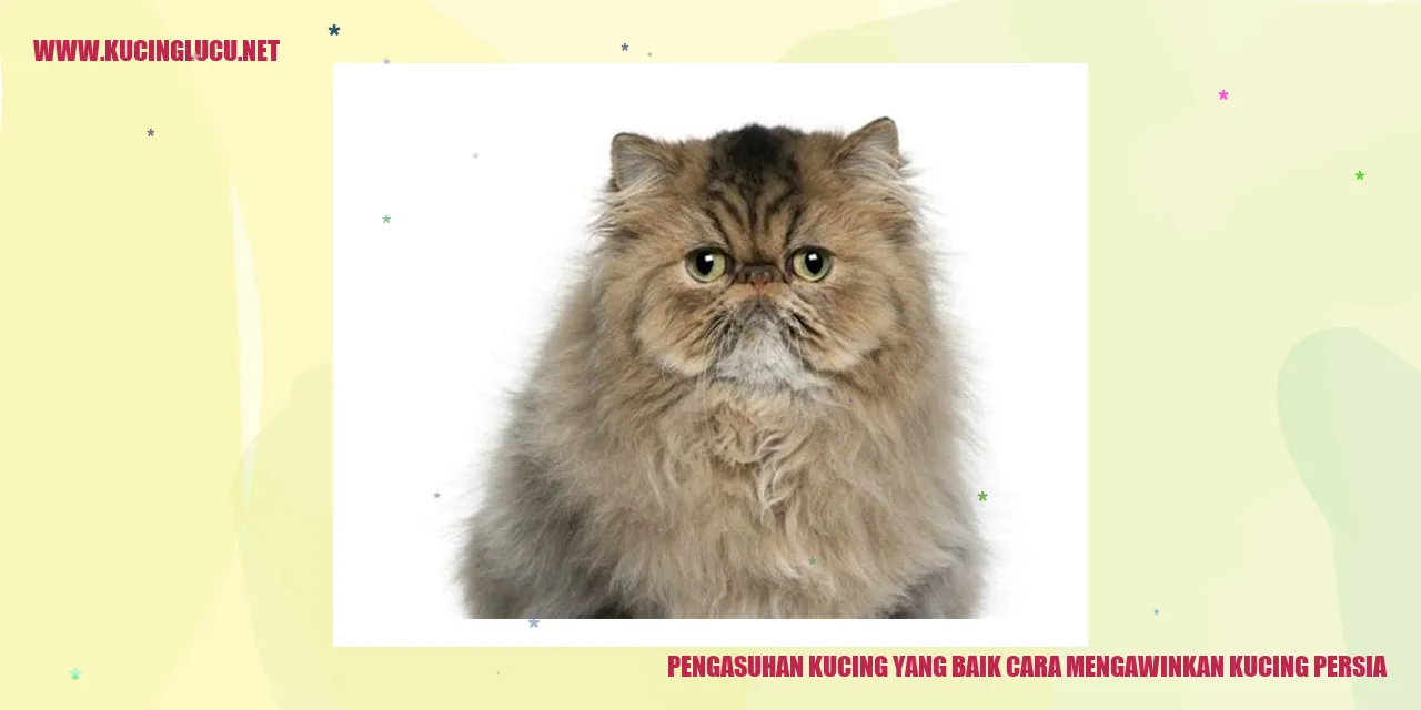 Kucing Persia yang Memesona