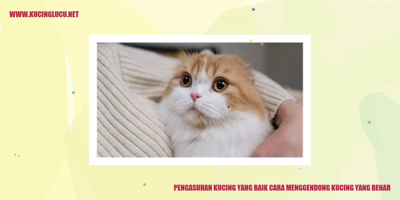 Kucing dalam Pelukan
