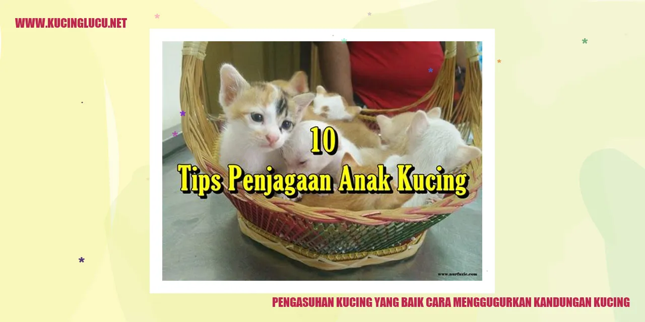 Gambar Kucing