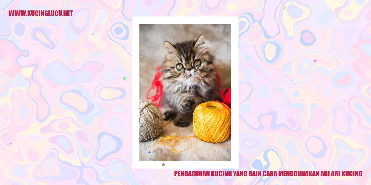 Gambar Kucing