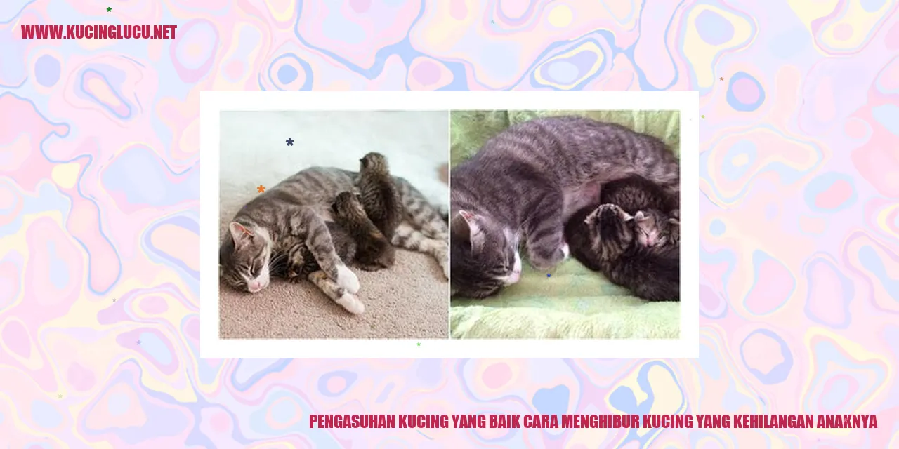 Gambar kucing yang sedang bermain bola wol