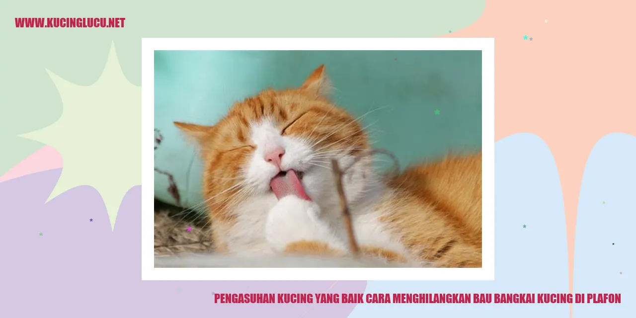 Kucing di Plafon