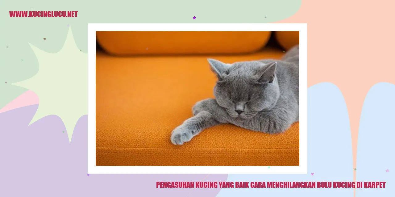 Panduan Merawat Kucing dengan Baik: Tips Menghilangkan Bulu Kucing di Karpet